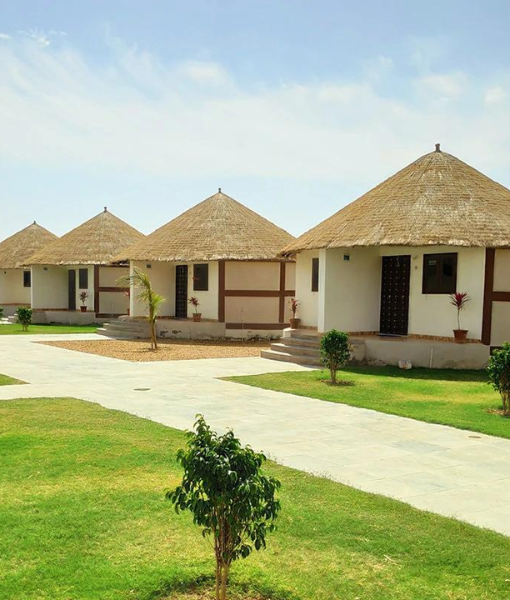 Rann Resort Dholavira 6