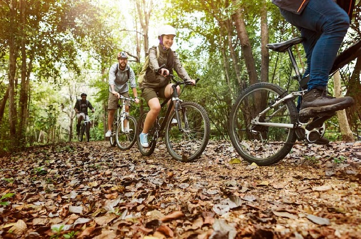 Bicycle Tour